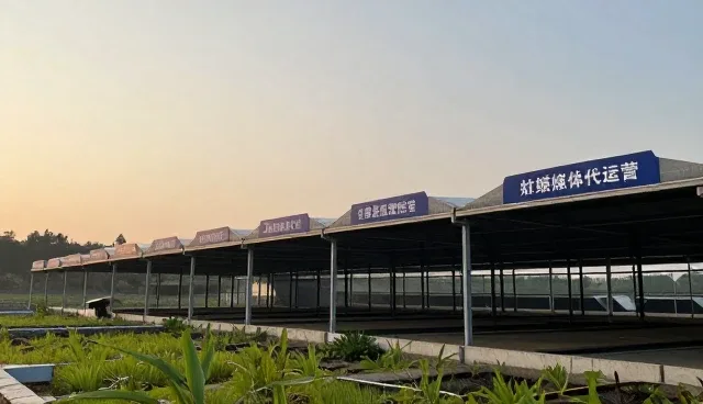 社交媒体代运营场景分析与业务发展趋势